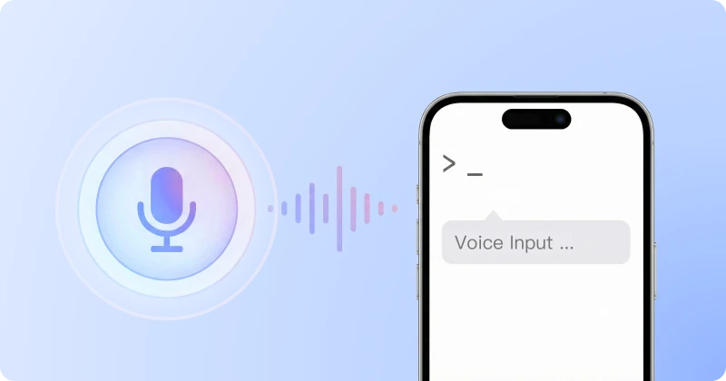 Voice Command